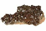 Vanadinite Cluster From Morocco - Epic Plate Of Large Crystals! #84452-2